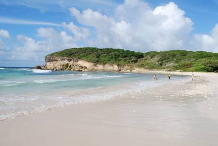 L'Archipel du Helleux : Un gîte à Sainte-Anne à 200 mètres des plages.
