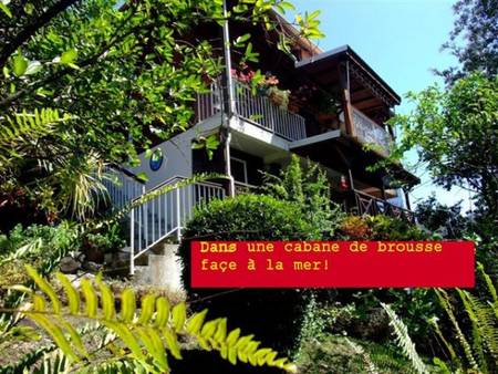 Exceptionnel sur plage caraïbe gîte 2 pers, Bord de mer. Vue mer.
