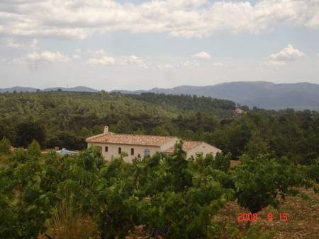 Maison de charme au milieu des vignes à Cannet des Maures, calme absolu. 