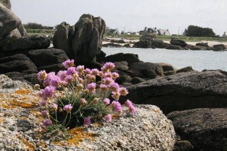 Location appartement Cléder la plage à vos pieds.