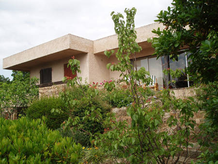 Corse Sud Domaine de Cala-Rossa Lecci de Porto-Vecchio.